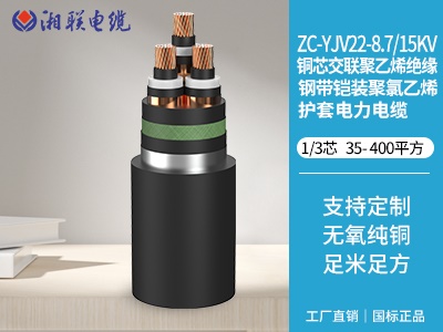 銅芯交聯(lián)聚乙烯絕緣鋼帶鎧裝聚氯乙烯護套電力電纜